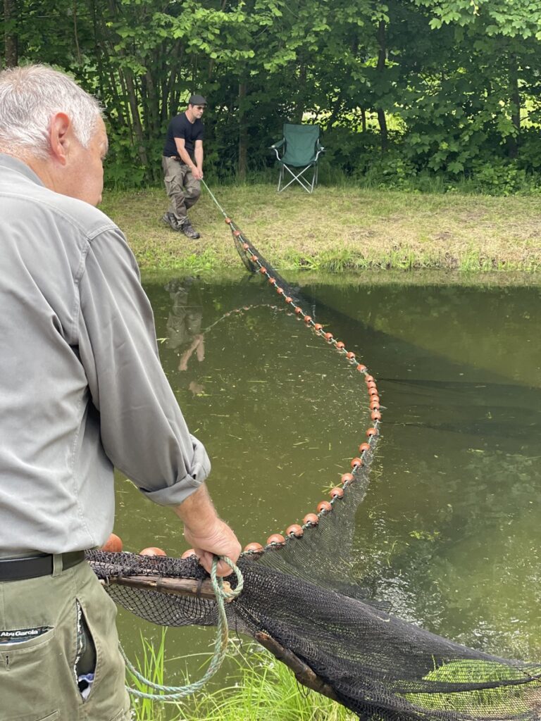 Billede af søen tømmes for fisk med et net